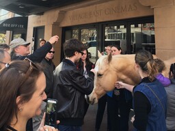 Publikumsmagent: Pferd vor dem East Village Cinema in New York