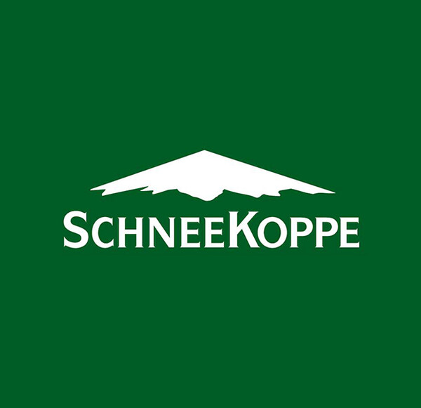 Online-Auftritt für Schneekoppe