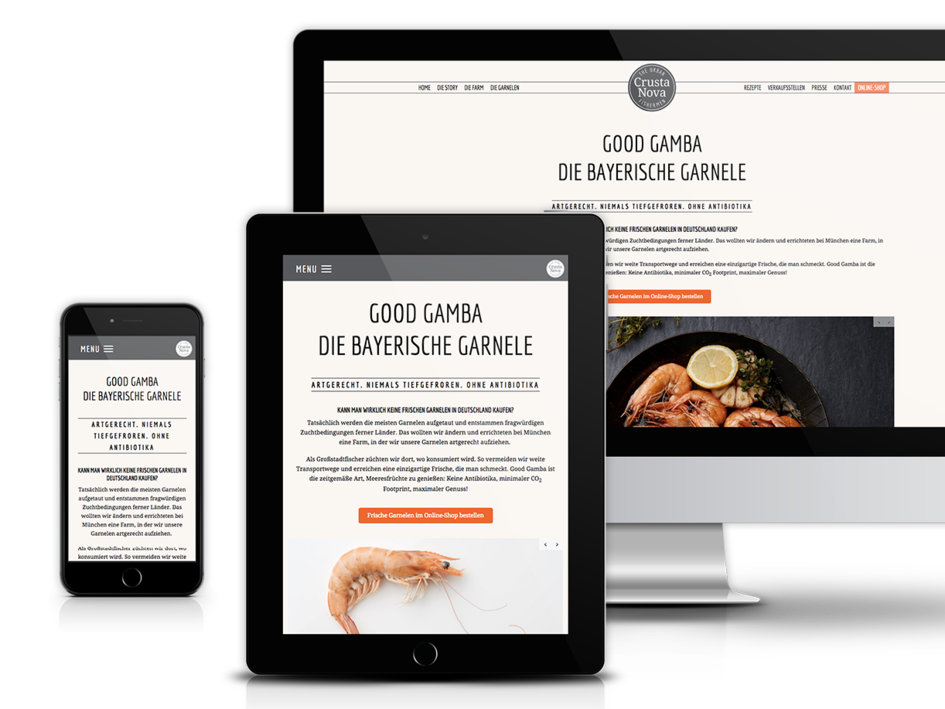Plattformunabhängige Website
