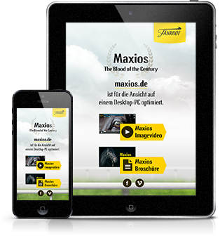 Maxios Webseite auf Tablet und Smartphone