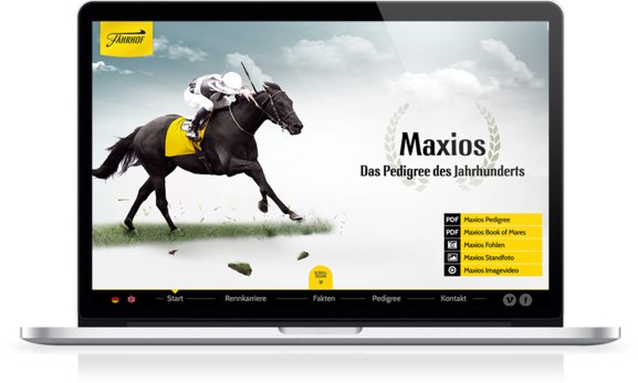 Startscreen der Maxios Webseite