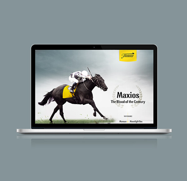 Gestüt Fährhof Maxios Microsite