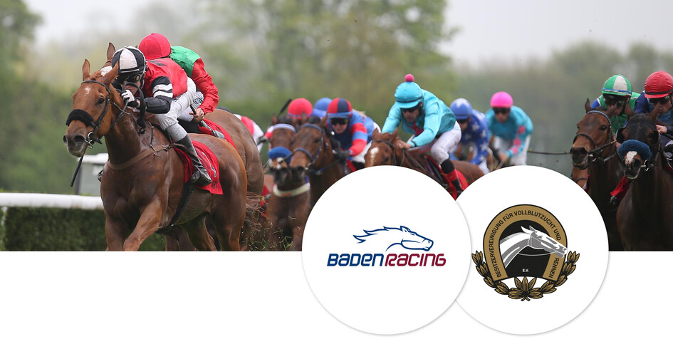 Champions des Galopprennsports