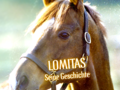 Dokumentation mit Monty Roberts &amp; Lomitas