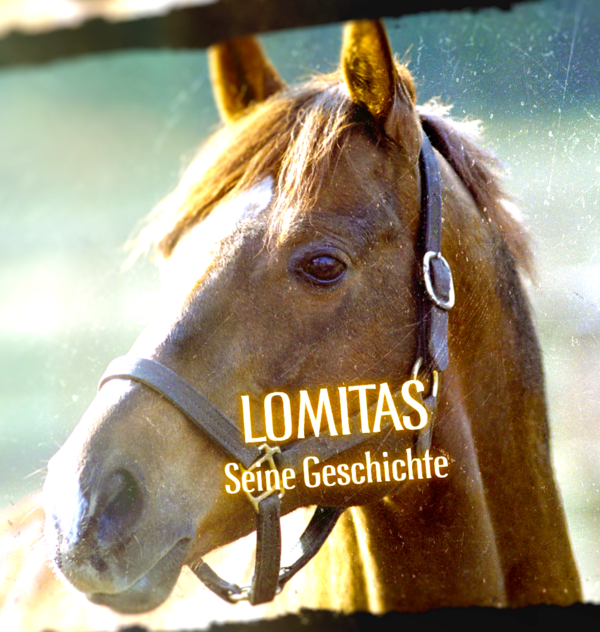 Dokumentation mit Monty Roberts & Lomitas