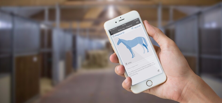 Schnelle Hilfe nach der Behandlung: Tierärzte und Therapeuten können ihre Arbeit direkt im Stall dokumentieren und den Tier-Besitzer per Mail, SMS oder WhatsApp informieren