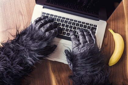 Entwicklung im Online-Bereich