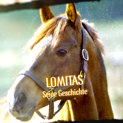TV-Verfilmung von Lomitas, Jacobs Kaffee und Monty Roberts