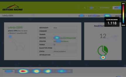 Usability-Anpassung anhand einer Heatmap